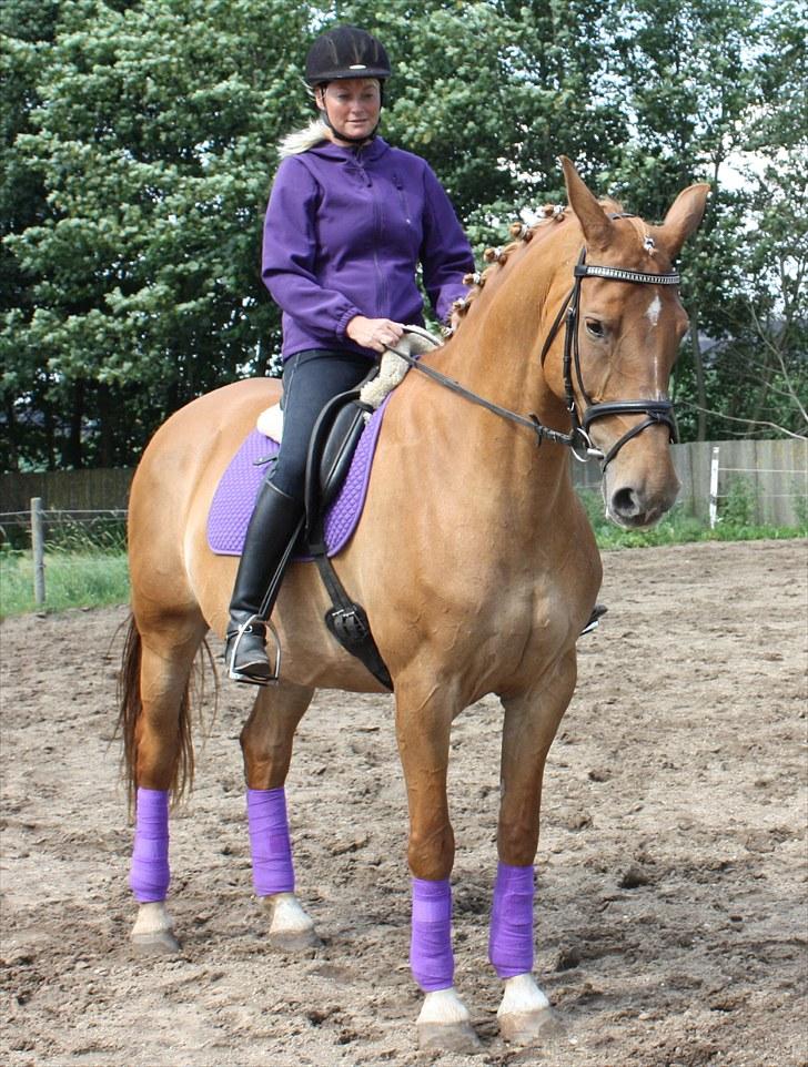 Anden særlig race Lady Like A Star (solgt) - så er vi kommet i de flotte lilla farver billede 15