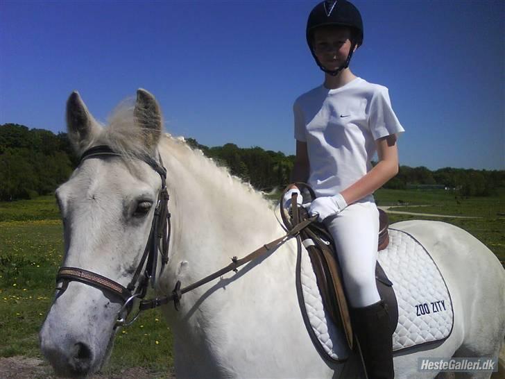 Anden særlig race Hugo (tidl. passer)  - færdig med vores lc1 og det gik såå godt<3 foto: cecilie billede 5