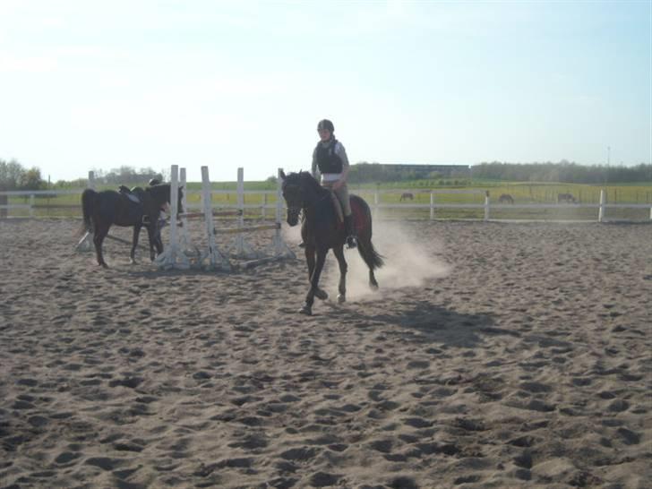 Traver anni caine   Solgt - Savner hende bare så meget:,( billede 18