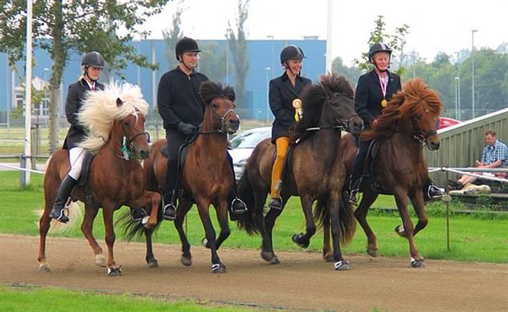 Islænder Eldur von Svada Kol-Kir - Foto: Mathilde Bøgh billede 12