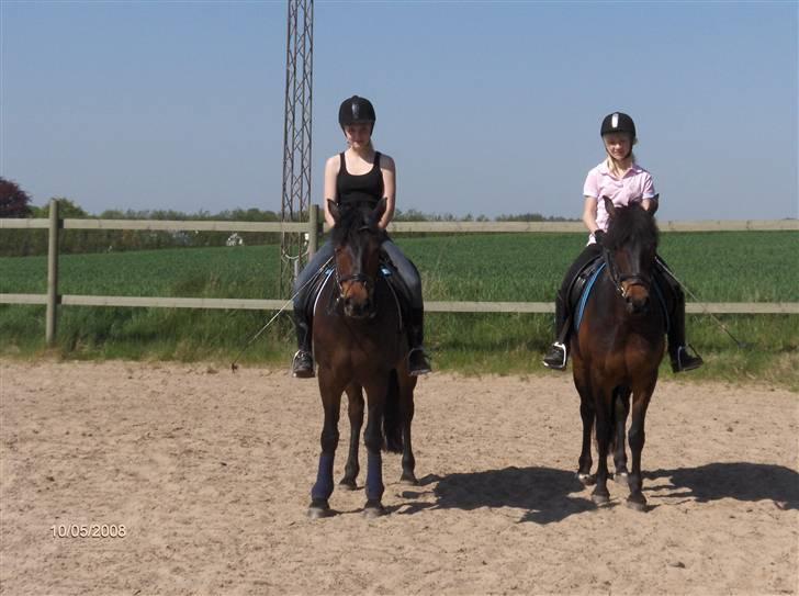 Anden særlig race Aladdin<3 (Solgt) - Cæcilie,mig og tvillinge ponyerne (; billede 8