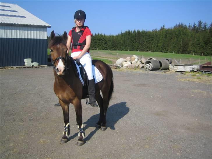 Anden særlig race Pinocchio SOLGT - Begynderjagt i GER, han var bare super! Det var vores første jagt.. billede 4