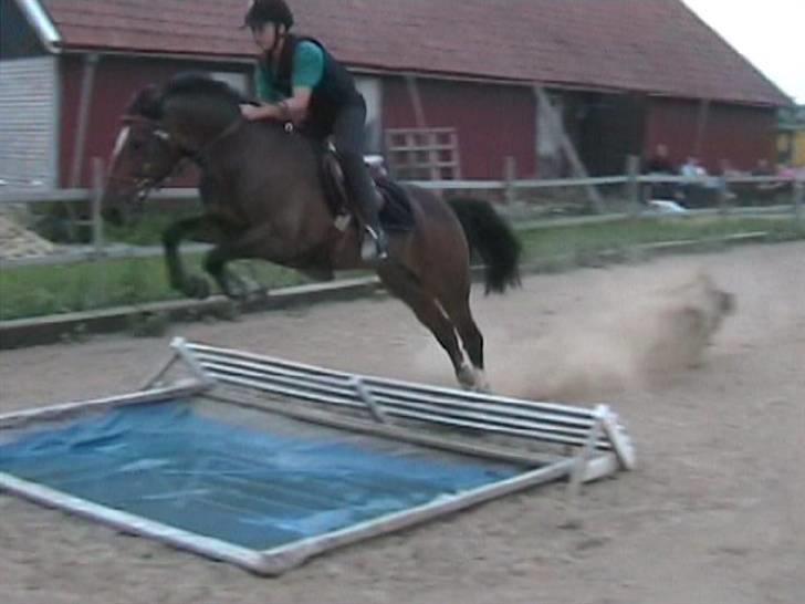 Anden særlig race Birger forever  - Og over vand (: billede 3