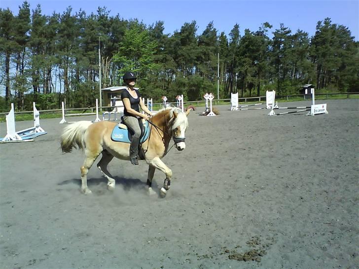 Haflinger sander (Gl. part) - mig og sander rider seriøst billede 6