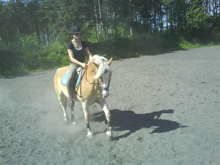 Haflinger sander (Gl. part) - mig og sander billede 12