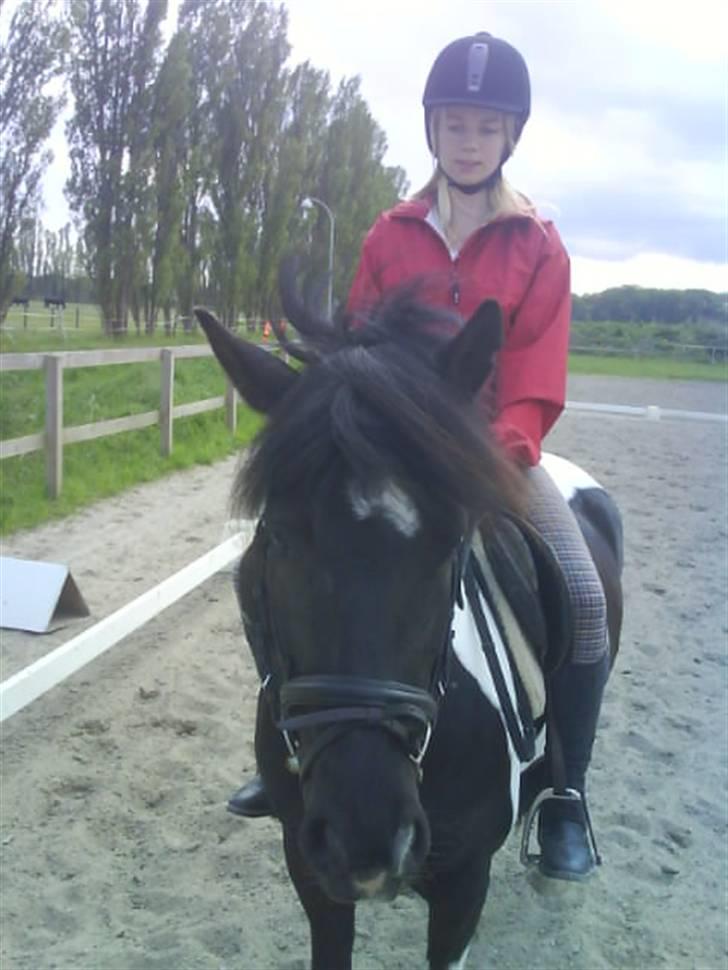 Anden særlig race Anniisa *GAMMEL PART* - Hej ~ og velkommen til Nissa´s profil billede 1