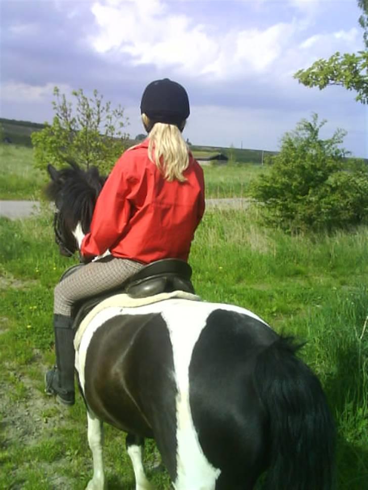 Anden særlig race Anniisa *GAMMEL PART* - Skovtur billede 3