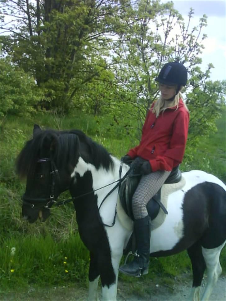 Anden særlig race Anniisa *GAMMEL PART* - Skovtur billede 4