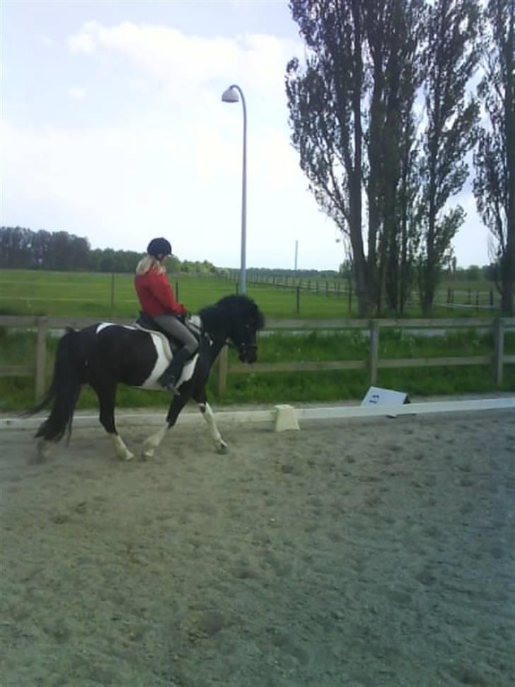 Anden særlig race Anniisa *GAMMEL PART* - Banen .. hihi.. billede 5