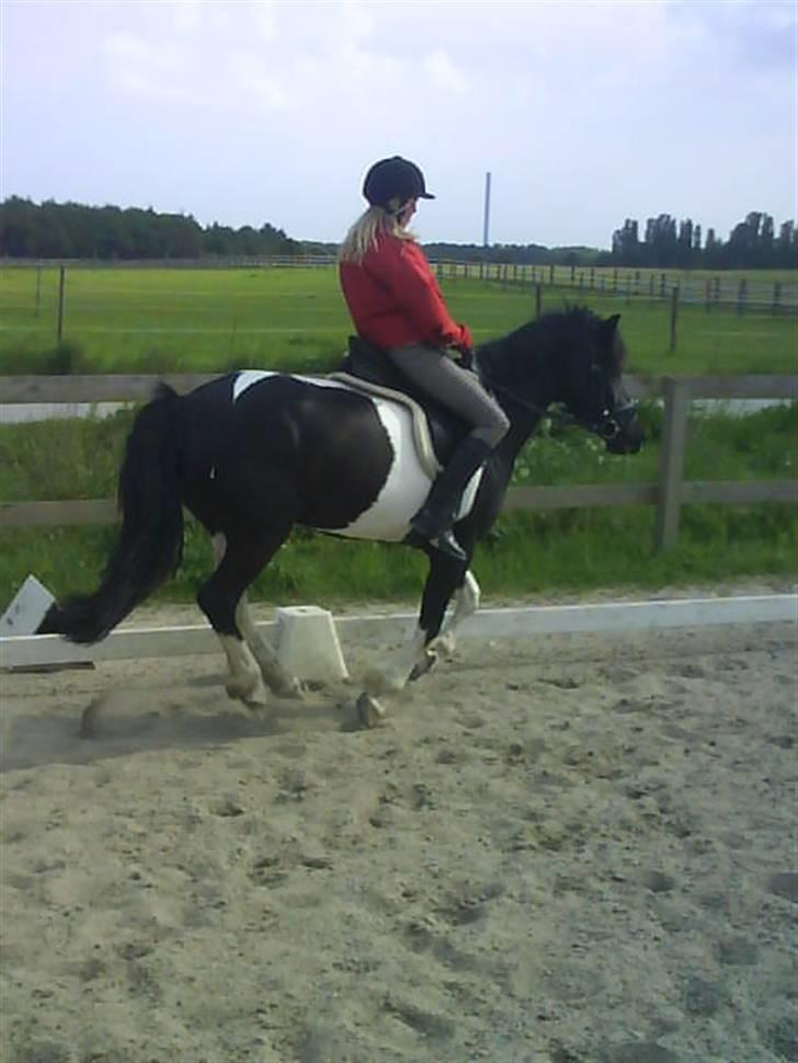 Anden særlig race Anniisa *GAMMEL PART* - Aniisa - Ja´er galop, wuhu. Karo - Aniisa, vi laver dressur ;p billede 6
