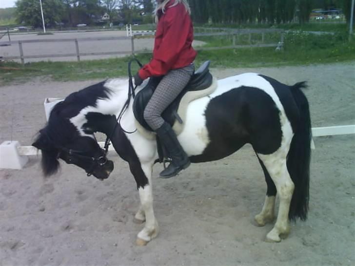 Anden særlig race Anniisa *GAMMEL PART* - Hvad sker der pony :O ? billede 7