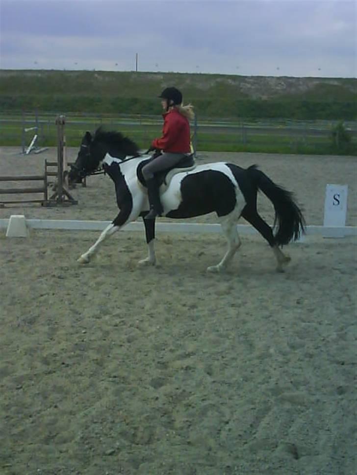 Anden særlig race Anniisa *GAMMEL PART* - Woow ! billede 8