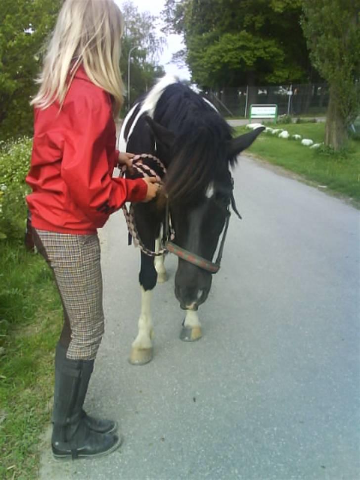 Anden særlig race Anniisa *GAMMEL PART* - Karo - Kom Aniisa du skal ind i boksen. Aniisa - Neeeeiijjj.. Vent lig lidt :D billede 13