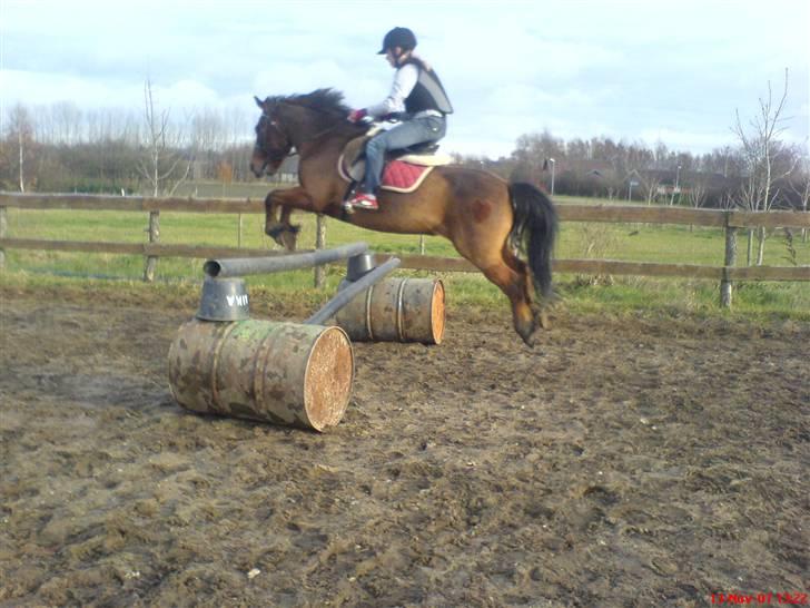 Anden særlig race Laban (søsters)- solgt billede 5