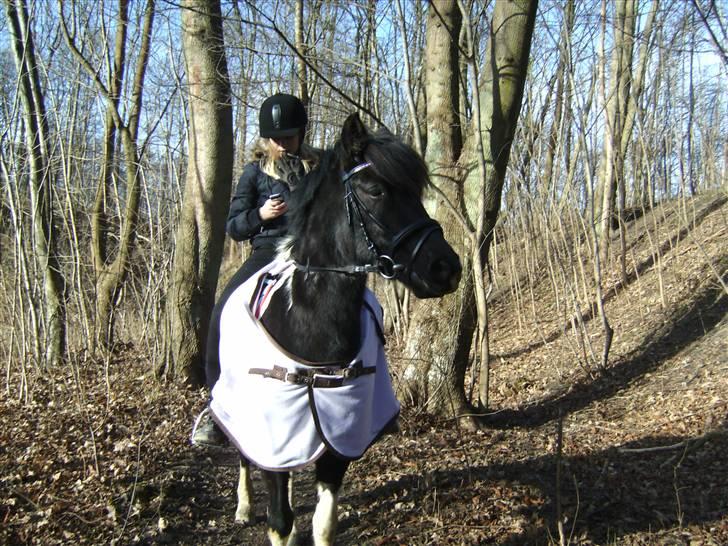 Anden særlig race Anniisa *GAMMEL PART* - Nååårh <3 hihi.  billede 16