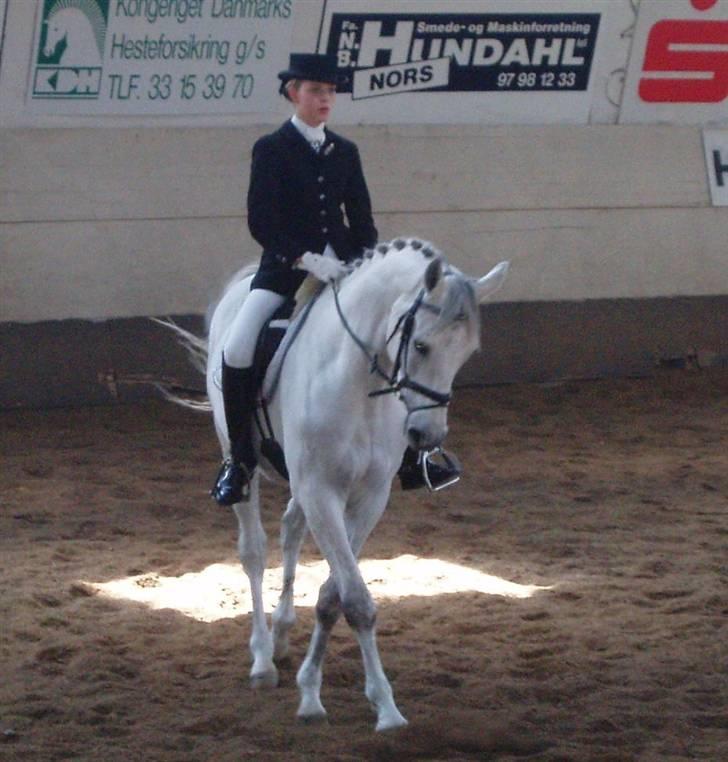 Dansk Varmblod Laiduc Attrup - Bagpartvending i La3 i Thisted på min fødselsdag :) billede 16