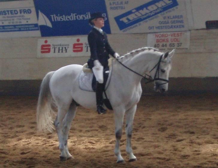 Dansk Varmblod Laiduc Attrup - Parade i La3 i Thisted :D billede 17