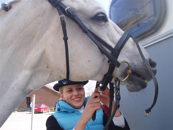 Dansk Varmblod Laiduc Attrup - Synes det er lidt sjovt det her billede, søster gik amok med kameraet ;P billede 18