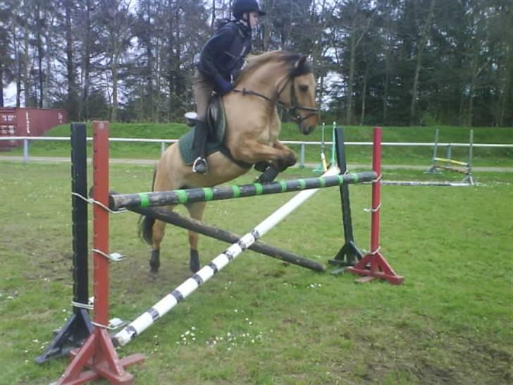 Anden særlig race Ingolf SOLGT - 110 igen .   Foto: Sara <3 billede 7