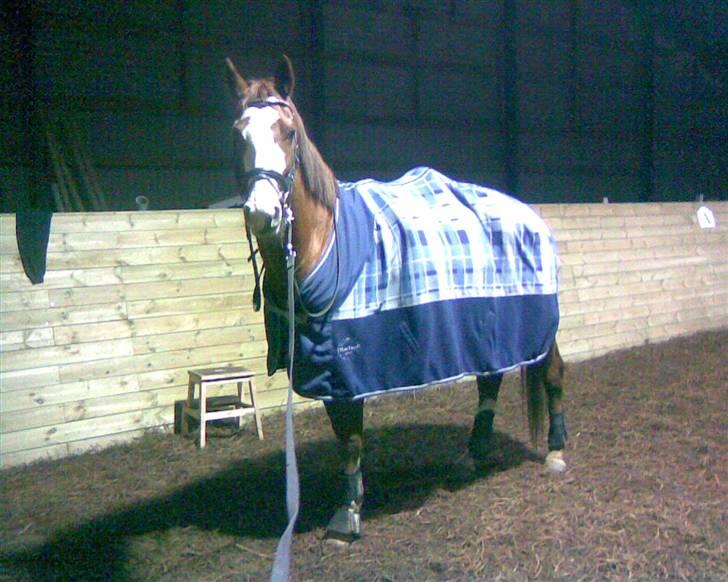 Frederiksborg Chaplin R.I.P<3 - Efter endt longering. billede 3