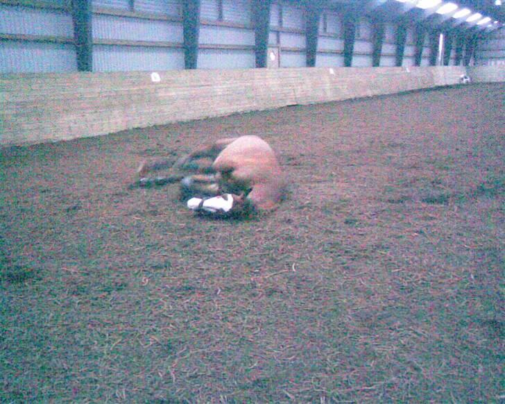 Frederiksborg Chaplin R.I.P<3 - Jeg tager mig lige en rulletur, deejligt... billede 4