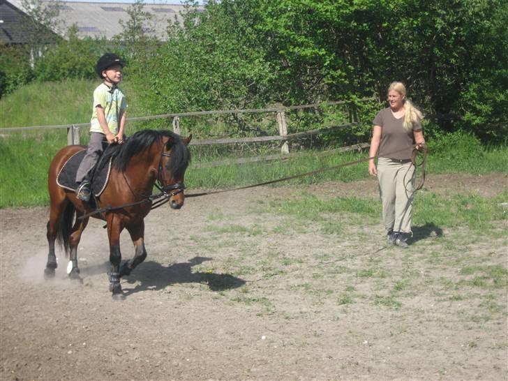 Anden særlig race Pluto  billede 13