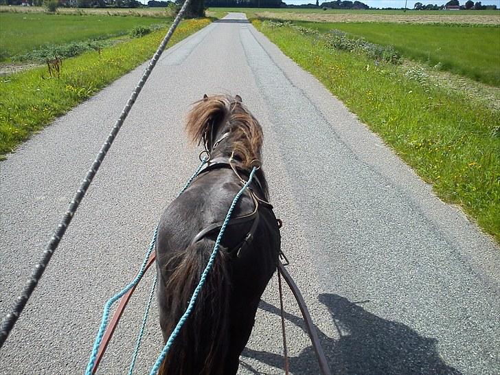 Miniature Herkules R.I.P - Den første tur i år 2010 billede 11