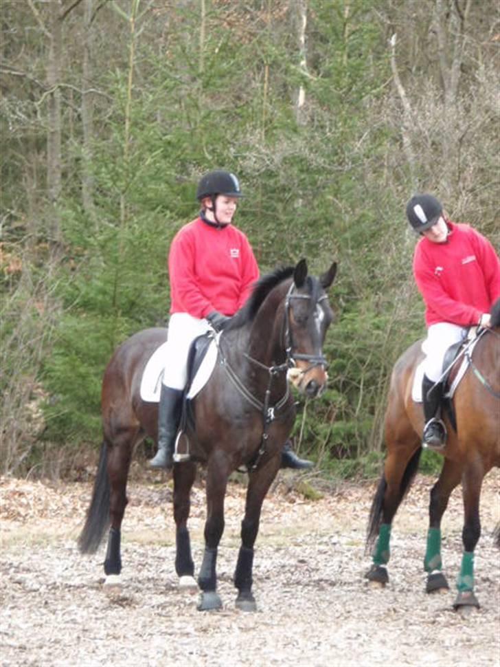 Oldenborg Gazell (Aflivet 30/10/09) - Jagt i kompedalen 5 april 2009 billede 18