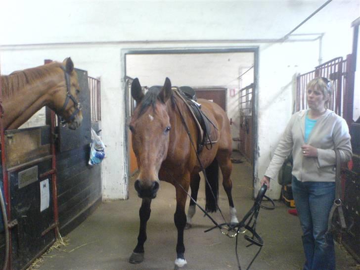 Anden særlig race Ramses Aflivet :'( - min mor og kong Ramses billede 5