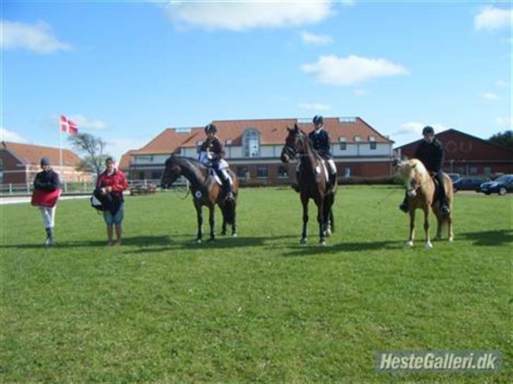 Anden særlig race Victoria - Vandt 4 rosetter, 2 pokaler og en masse andet til stævnet på Vittrup (: billede 11