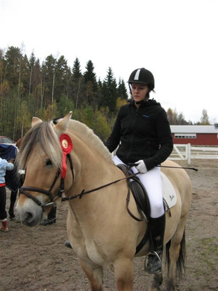 Fjordhest Mastrup Zigo DK - Takkula Cup -competition, autumn 2007. billede 14