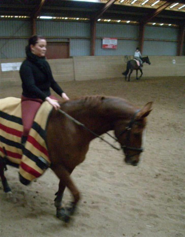 Dansk Varmblod Brogaardens Regina - Mig med nina på ryggen.. billede 3
