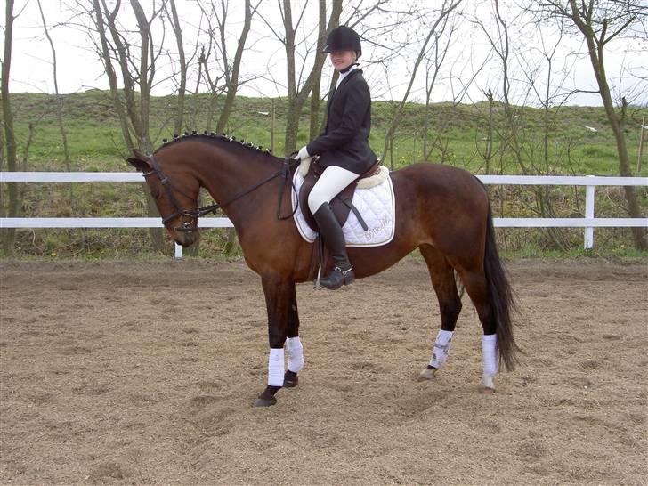 Anden særlig race Dücell - Stævnet i RORK billede 14