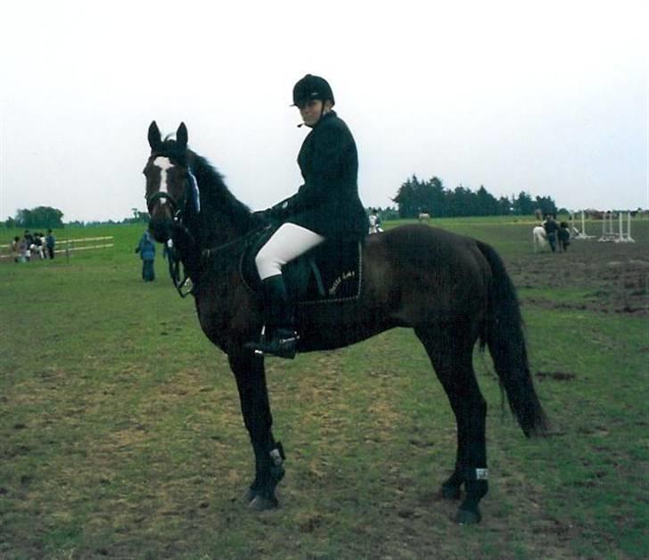 Anden særlig race Bette Las - Bette Las til stævne i Snorgården billede 3