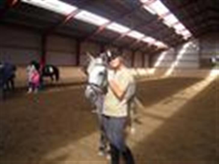 Connemara Dusty SOLGT - vi vandt ringridning billede 7