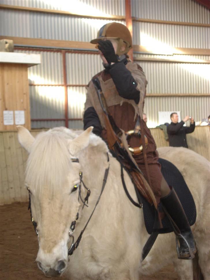 Fjordhest Bamse Solgt april 09 - bamse og mie til fastelavn, de bider til bolle.. billede 15
