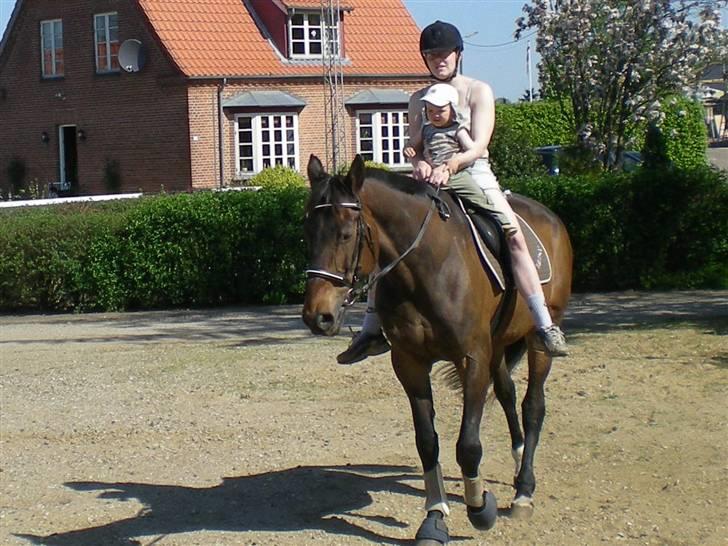 Anden særlig race Ysibal Yankee (solgt) - Mig og benjamin... Han skal da også prøve en tur billede 11