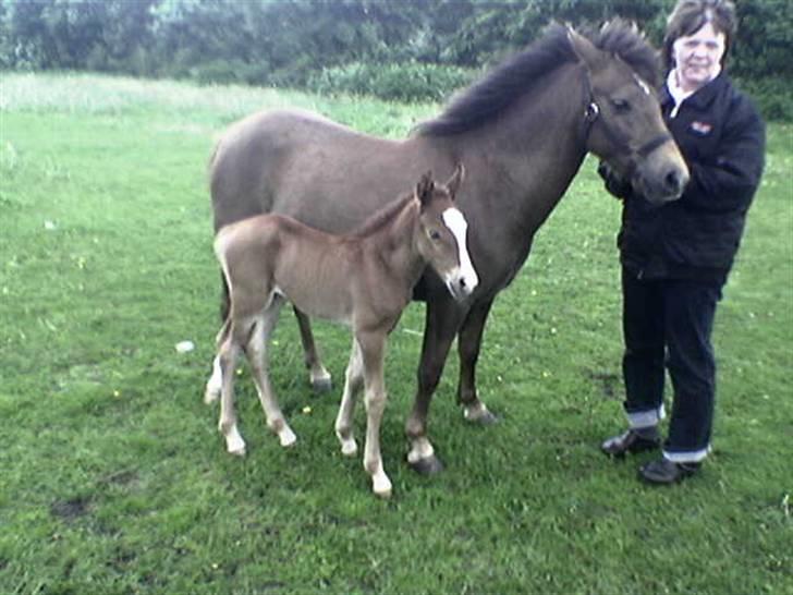 Anden særlig race Fleur - Fleur med hendes føl Papaya for 2 år siden billede 9
