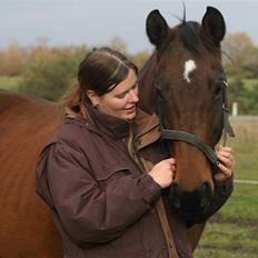 Dansk Varmblod Fiona