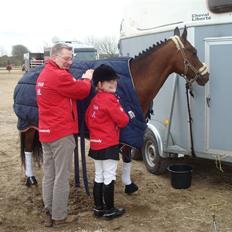 DSP Brown Bodean - solgt