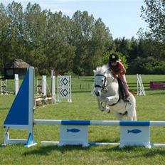 Welsh Pony (sec B) Pingo>R.I.P<savner dig †