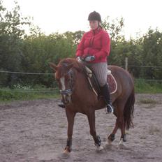 Anden særlig race Felex