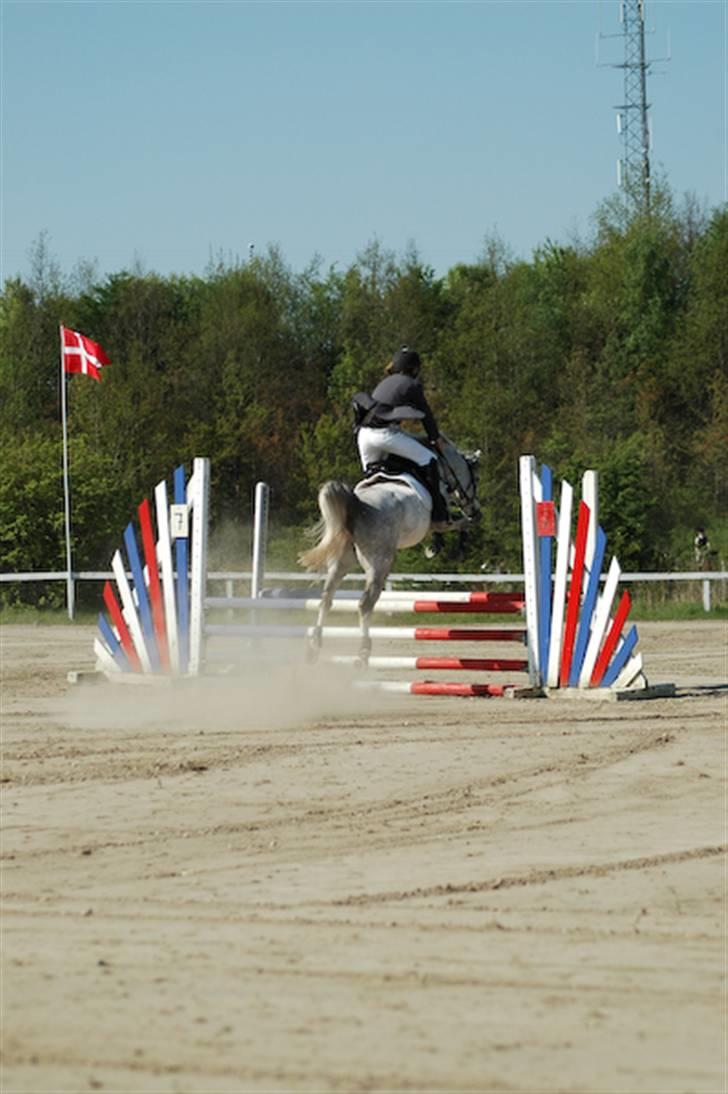 Anden særlig race Wahzeem - Stævne d. 9/05 - 08 billede 20