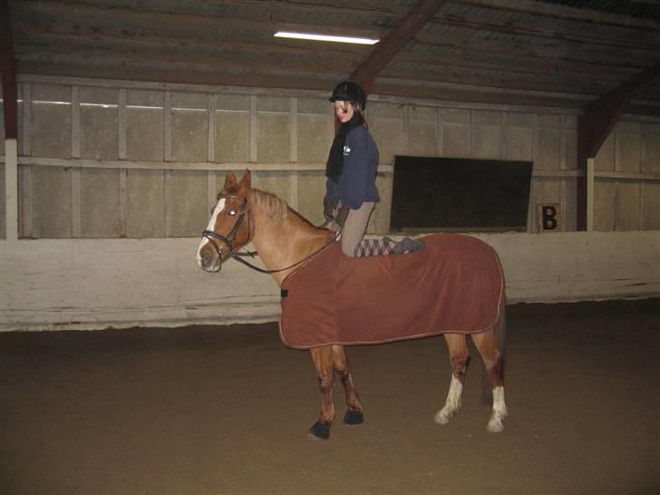 Frederiksborg Stella *RIP* :'( billede 3