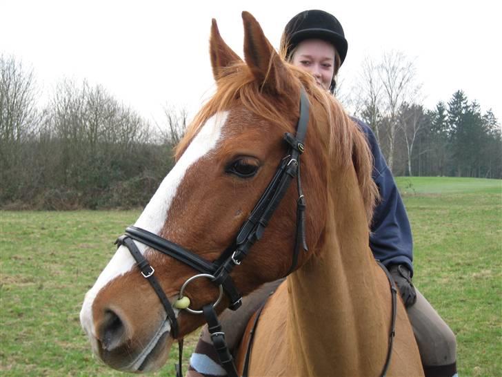 Frederiksborg Stella *RIP* :'( billede 5