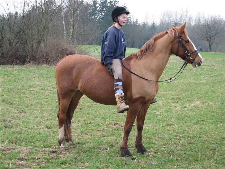 Frederiksborg Stella *RIP* :'( billede 6