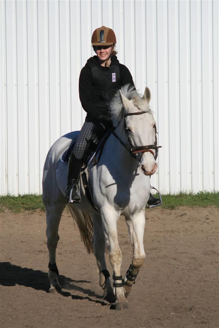 Knabstrupper Wickie - #8 billede 8