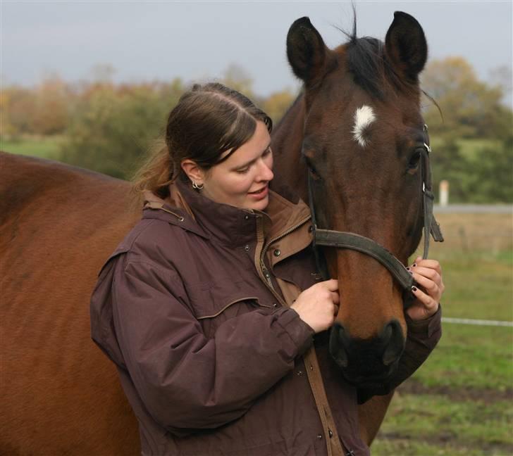 Dansk Varmblod Fiona - NYT: Nåhr :) Dejlige Fiona og mig billede 2