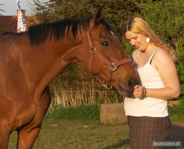 Dansk Varmblod Fiona - Mig og smukke pigen (taget af Tina) billede 5