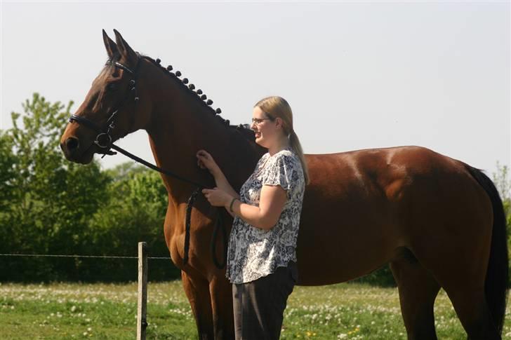 Dansk Varmblod Fiona - Dullet op og det hele billede 17